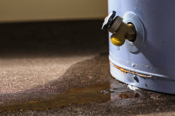 Best Flooded house restoration  in Cambridge, WI