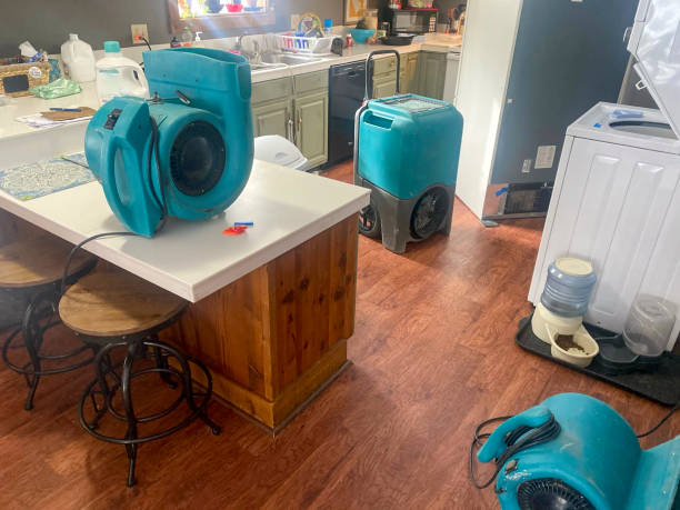 Best 24/7 water damage repair  in Cambridge, WI