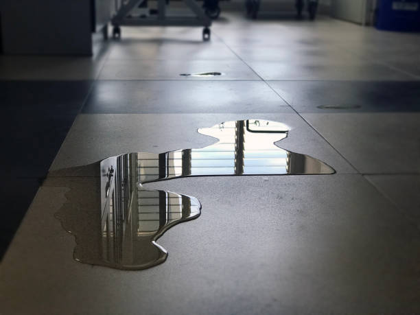 Best Emergency water damage restoration  in Cambridge, WI
