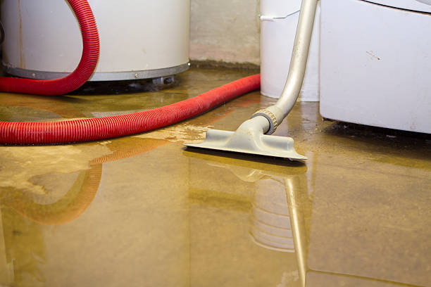 Best Fire Damage Restoration  in Cambridge, WI
