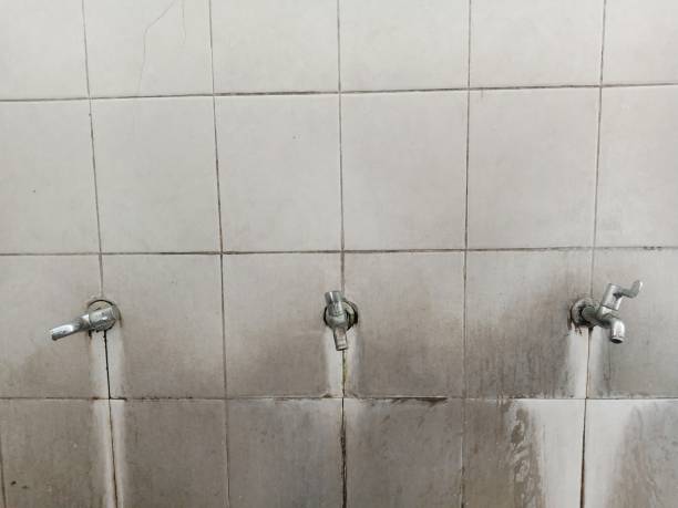 Best Flood damage cleanup  in Cambridge, WI