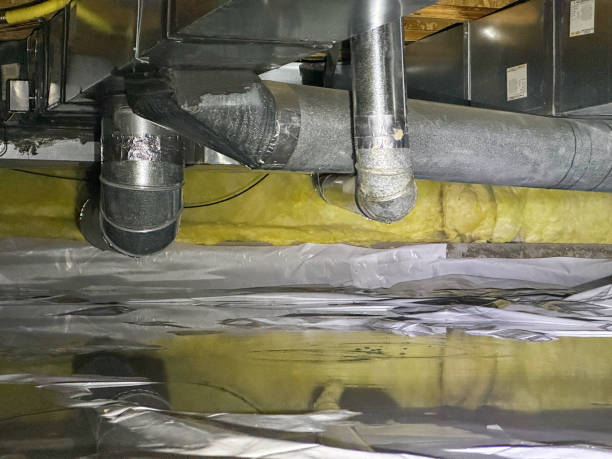 Best Basement water damage restoration  in Cambridge, WI
