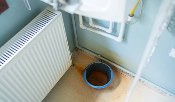 Best Water damage restoration experts  in Cambridge, WI