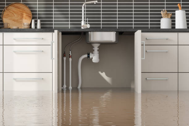 Best Water damage restoration services  in Cambridge, WI