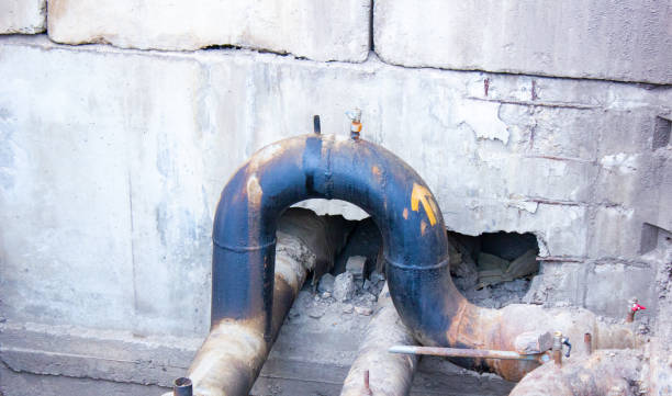 Best Local water damage restoration  in Cambridge, WI