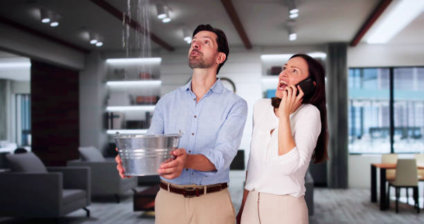 Best Professional water damage repair  in Cambridge, WI