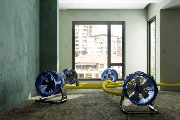 Best Water damage restoration cost  in Cambridge, WI